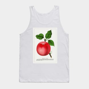 Snow Apple Lithograph (1900) Tank Top